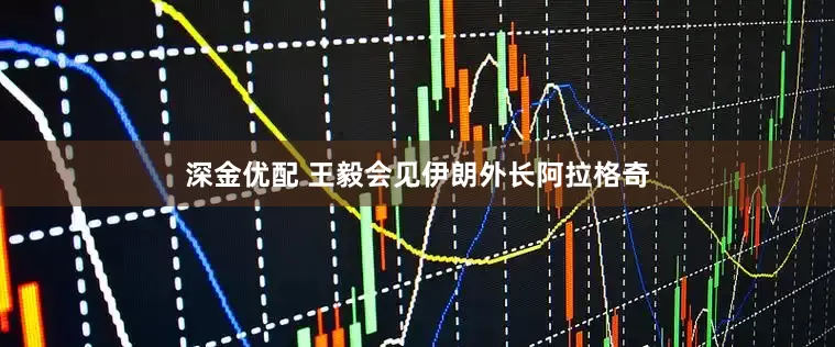 深金优配 王毅会见伊朗外长阿拉格奇