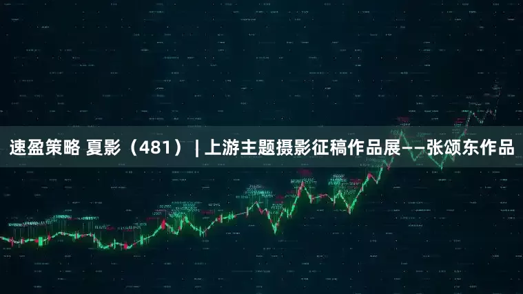 速盈策略 夏影（481） | 上游主题摄影征稿作品展——张颂东作品