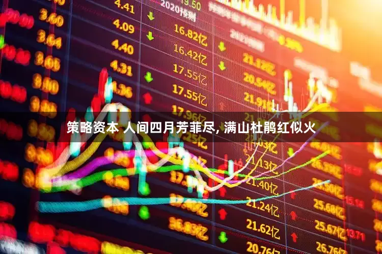 策略资本 人间四月芳菲尽, 满山杜鹃红似火